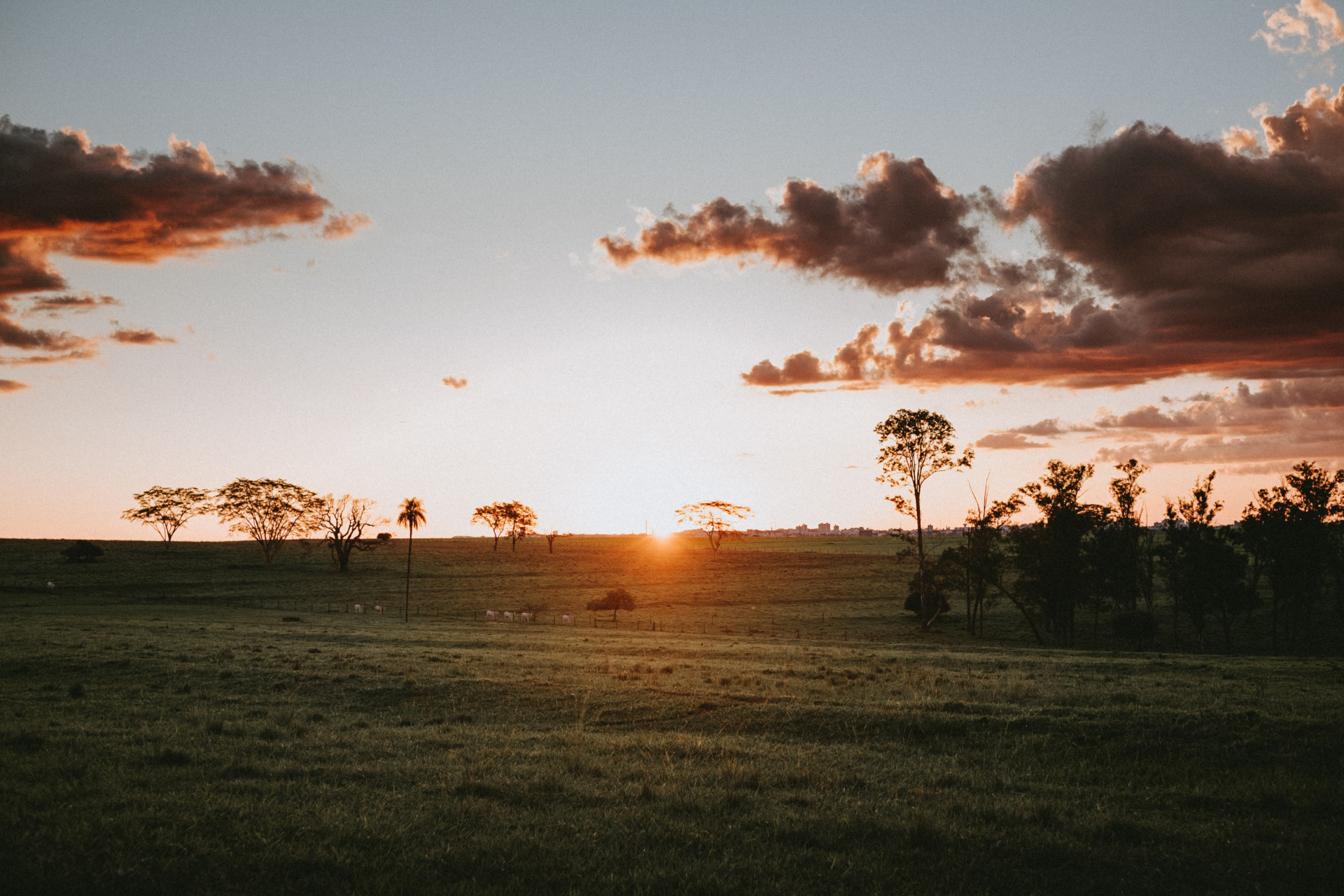 17 cidades para viajar no Rio Grande do Sul escolha suas favoritas e monte seu roteiro (Imagens: Unsplash)