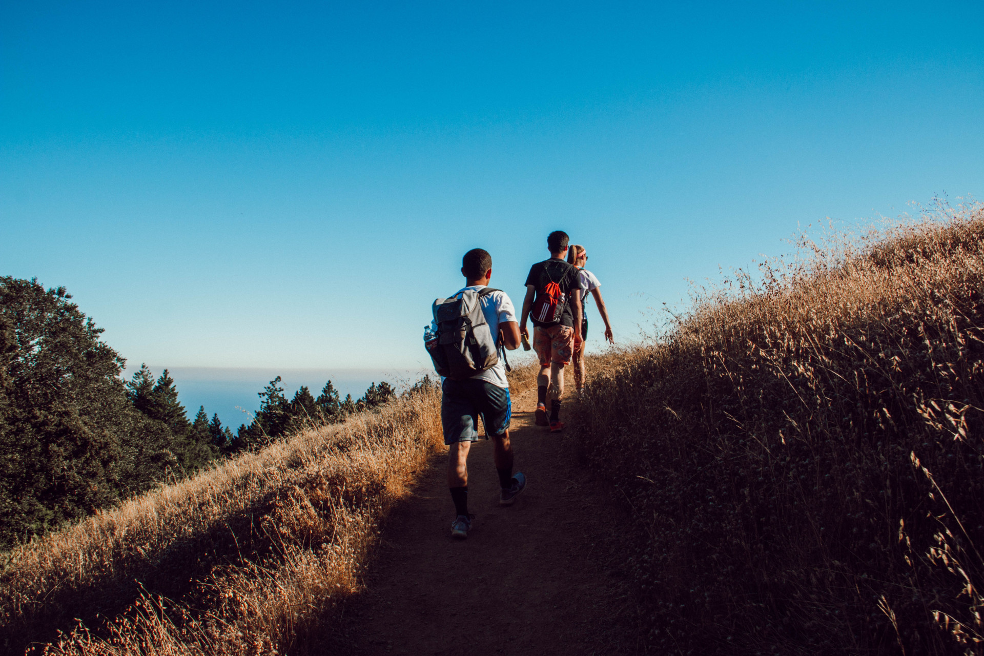 Sertão de Maruim é o destino da sua próxima viagem e te contamos com carinho o porquê (Imagens: Unsplash)