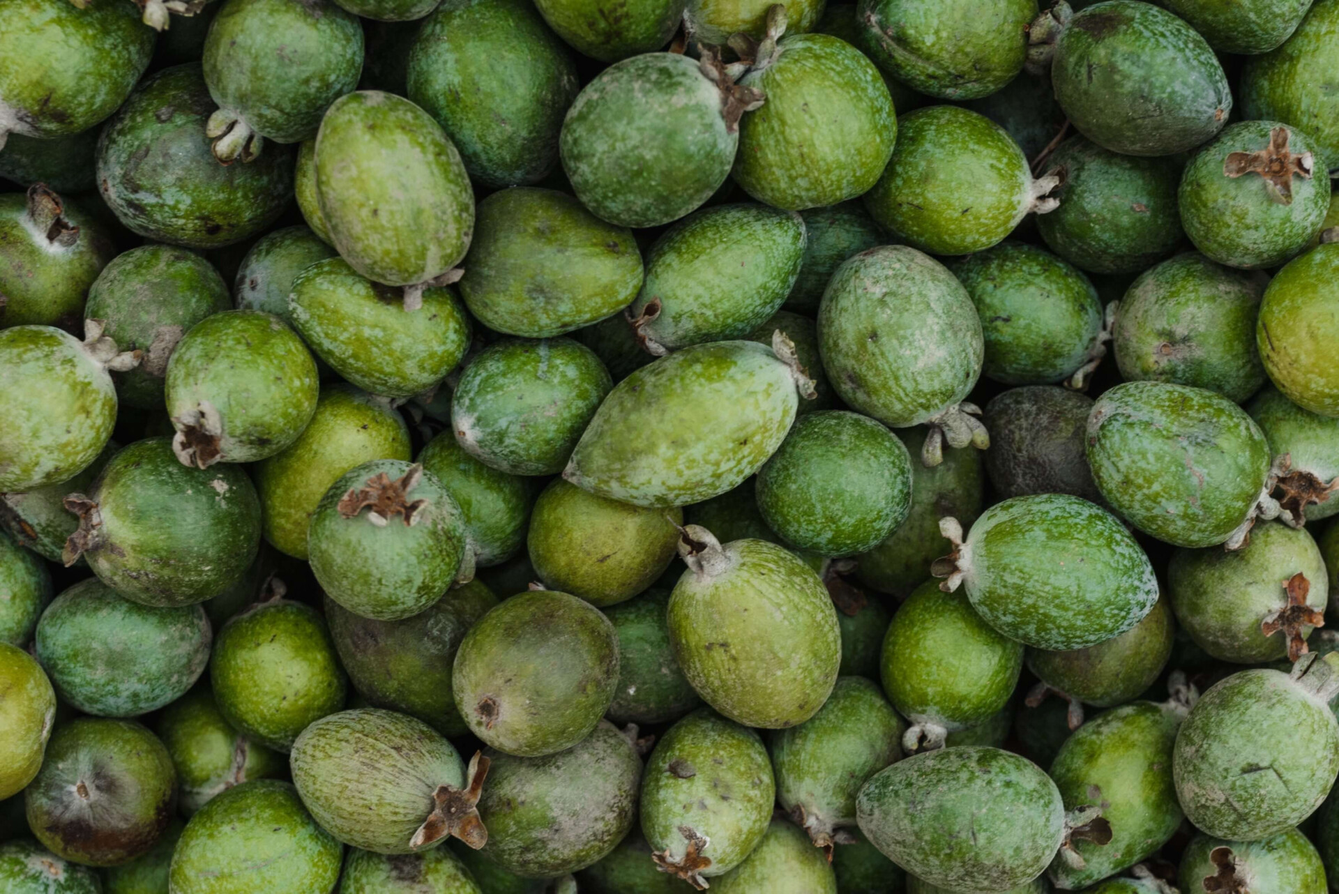 frutas que podem ser bem perigosas