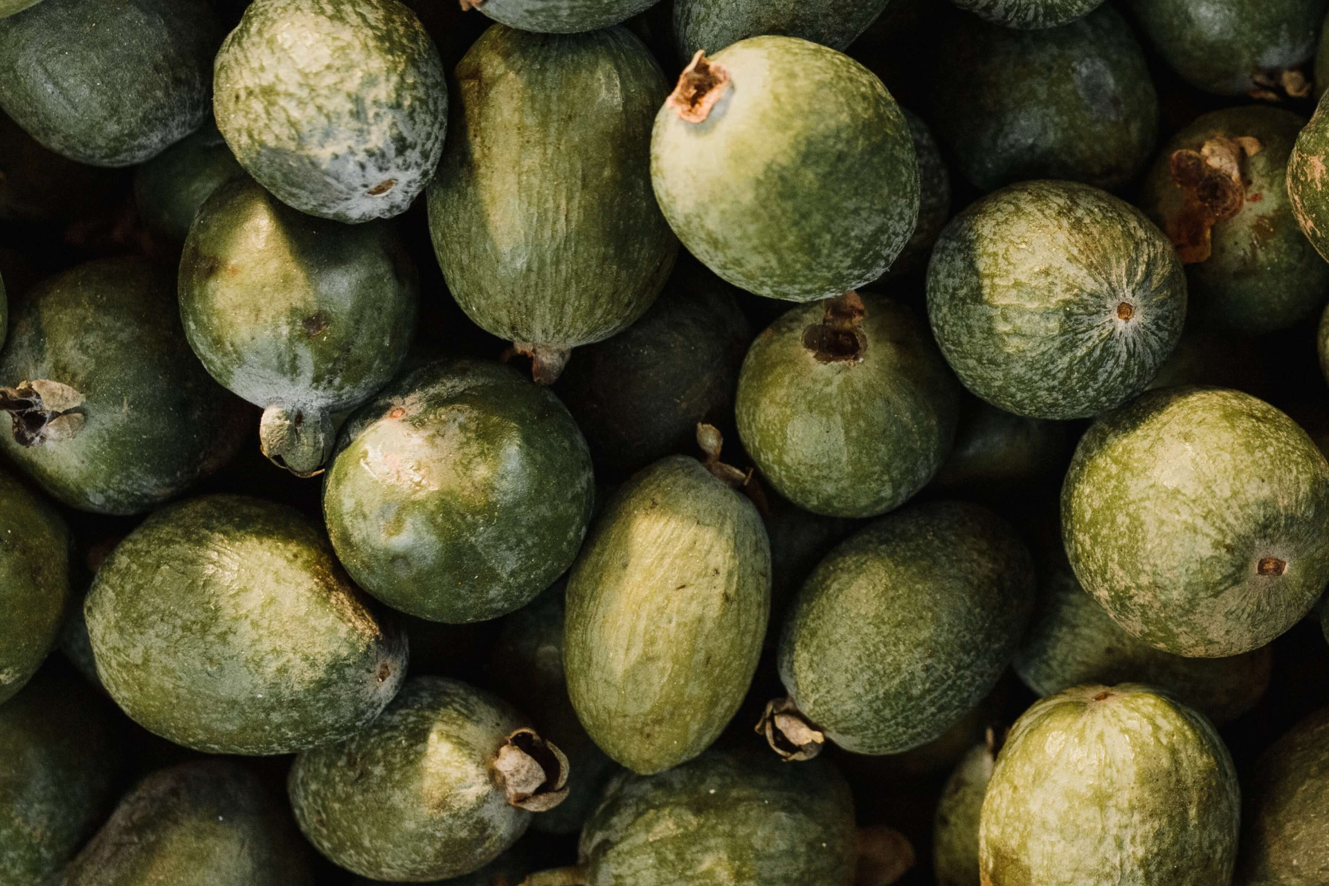 frutas que podem ser bem perigosas