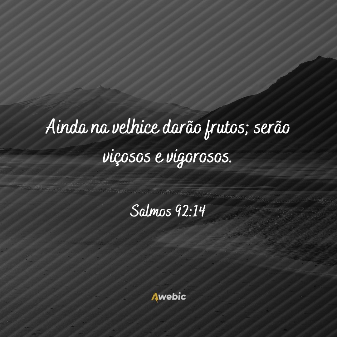 versículos bíblicos para aniversário: abençoe quem AMA