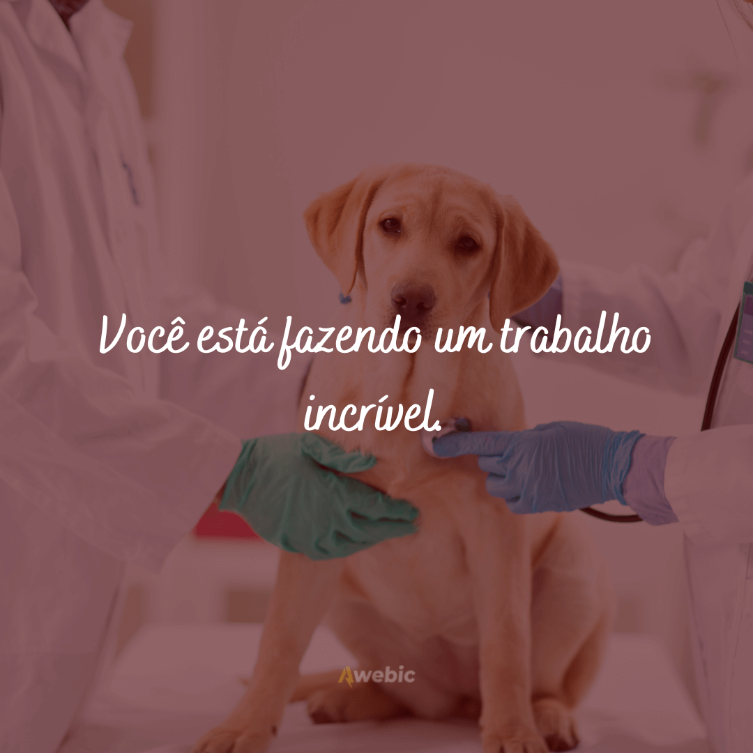 Frases do Dia do Veterinário