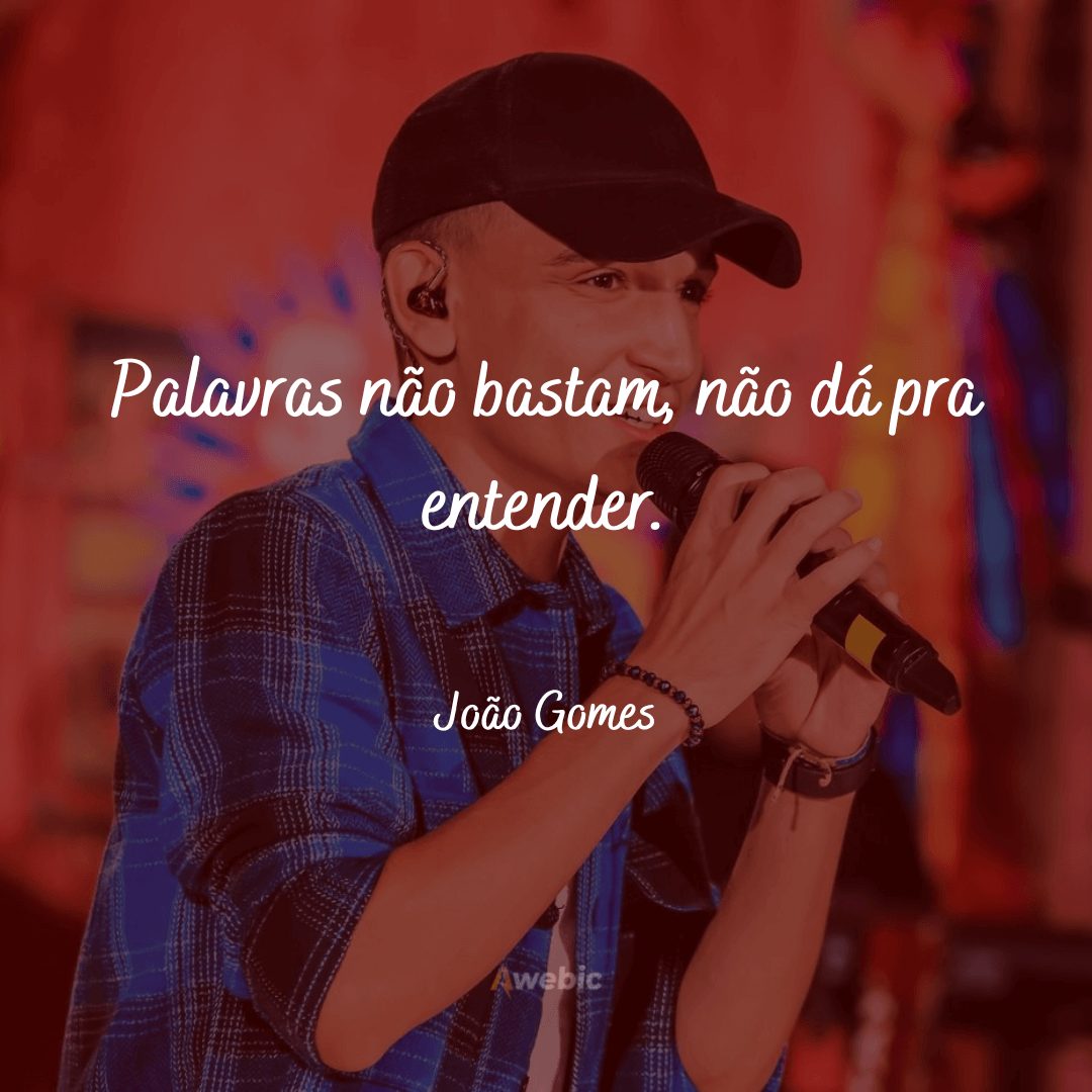 Frases de João Gomes