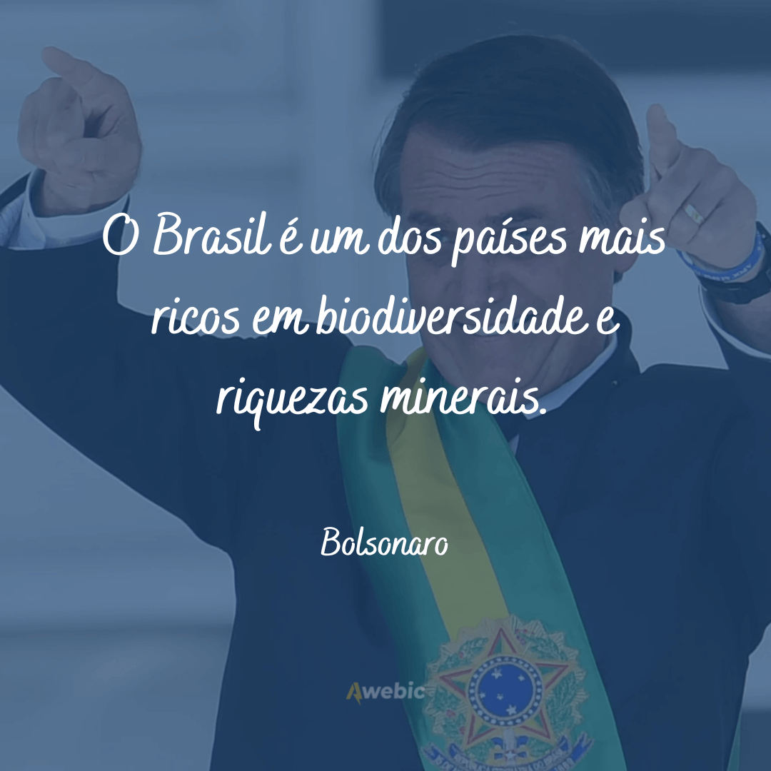 Frases do Bolsonaro