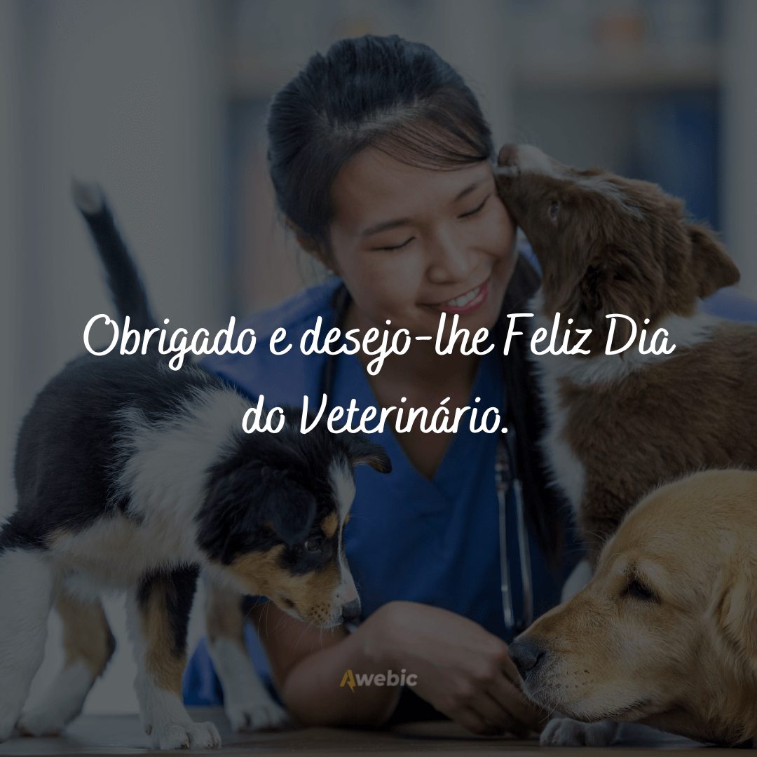 Frases do Dia do Veterinário