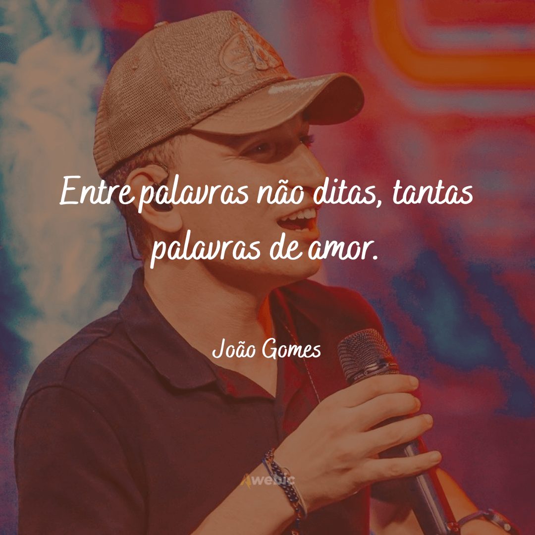 Frases de João Gomes