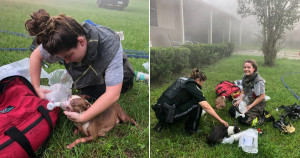 Entregadora vê casa em chamas, avisa os bombeiros e salva três cachorros