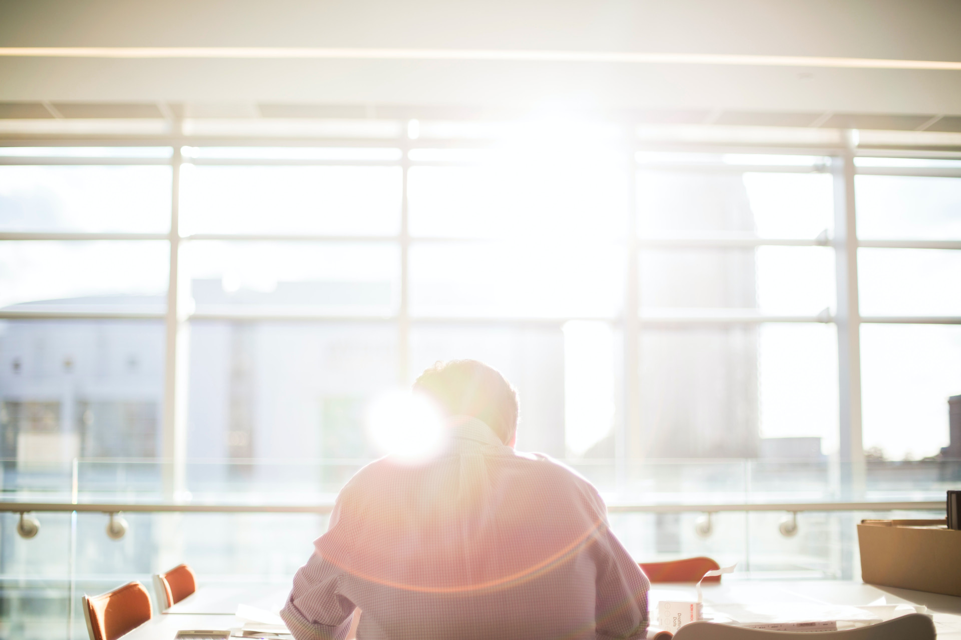 O signo de TOURO no trabalho: conhecendo de pertinho o perfil e manias de todo taurino (Imagens: Unsplash)