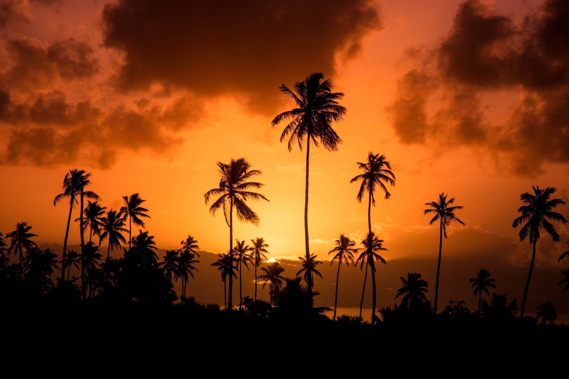 11 motivos leves e aconchegantes para fazer uma viagem por Porto de Galinhas ainda esse ano (Imagens: Unsplash)