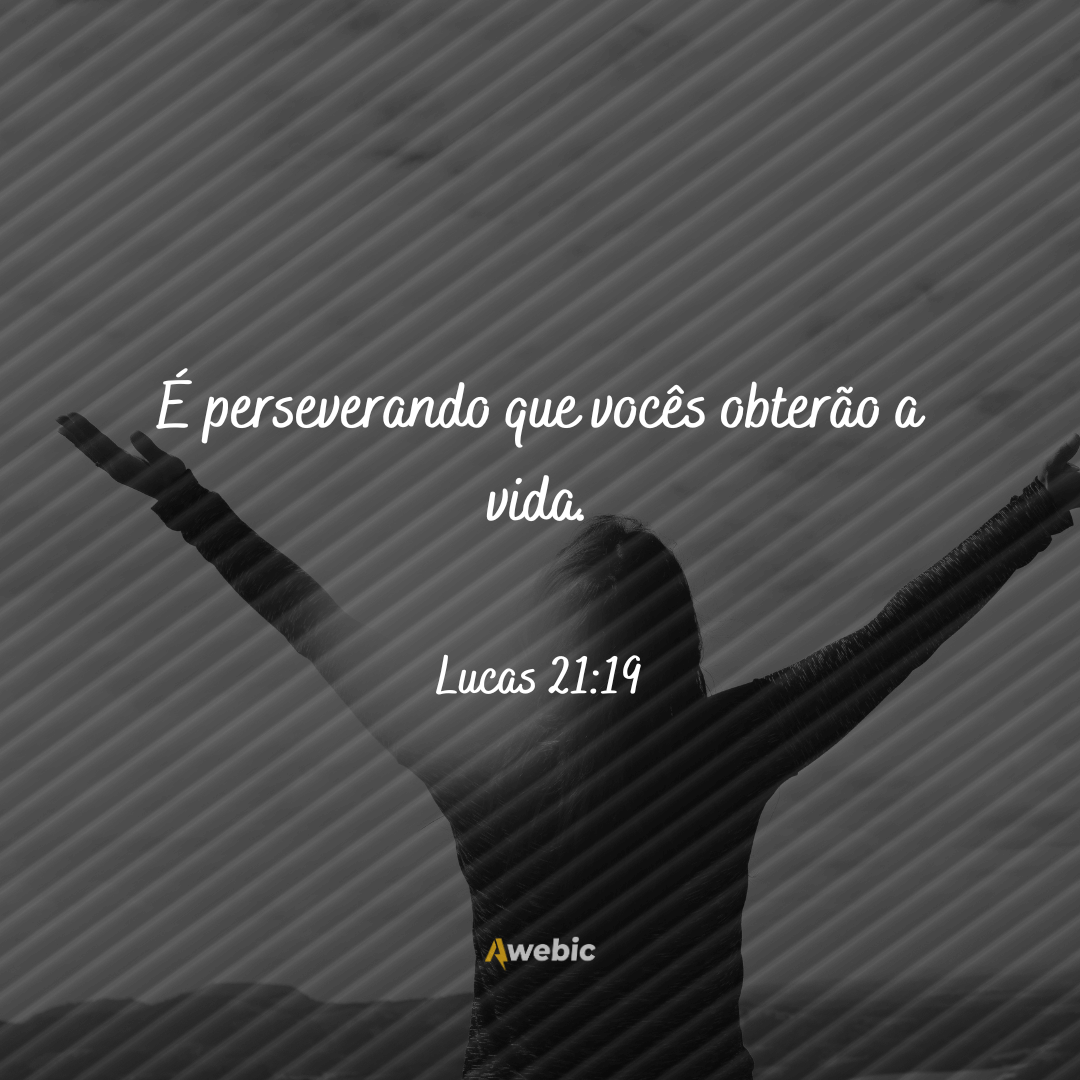 Versículos de perseverança para nunca desistir