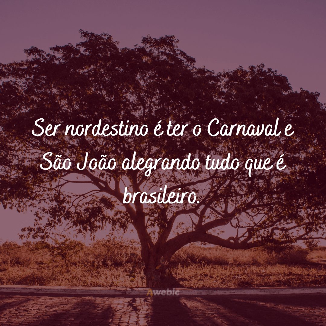 Frases nordestinas