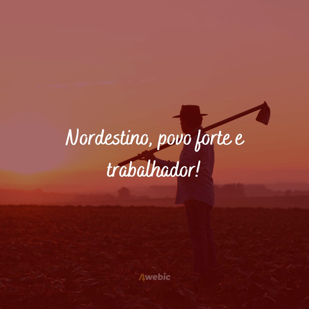 Frases nordestinas