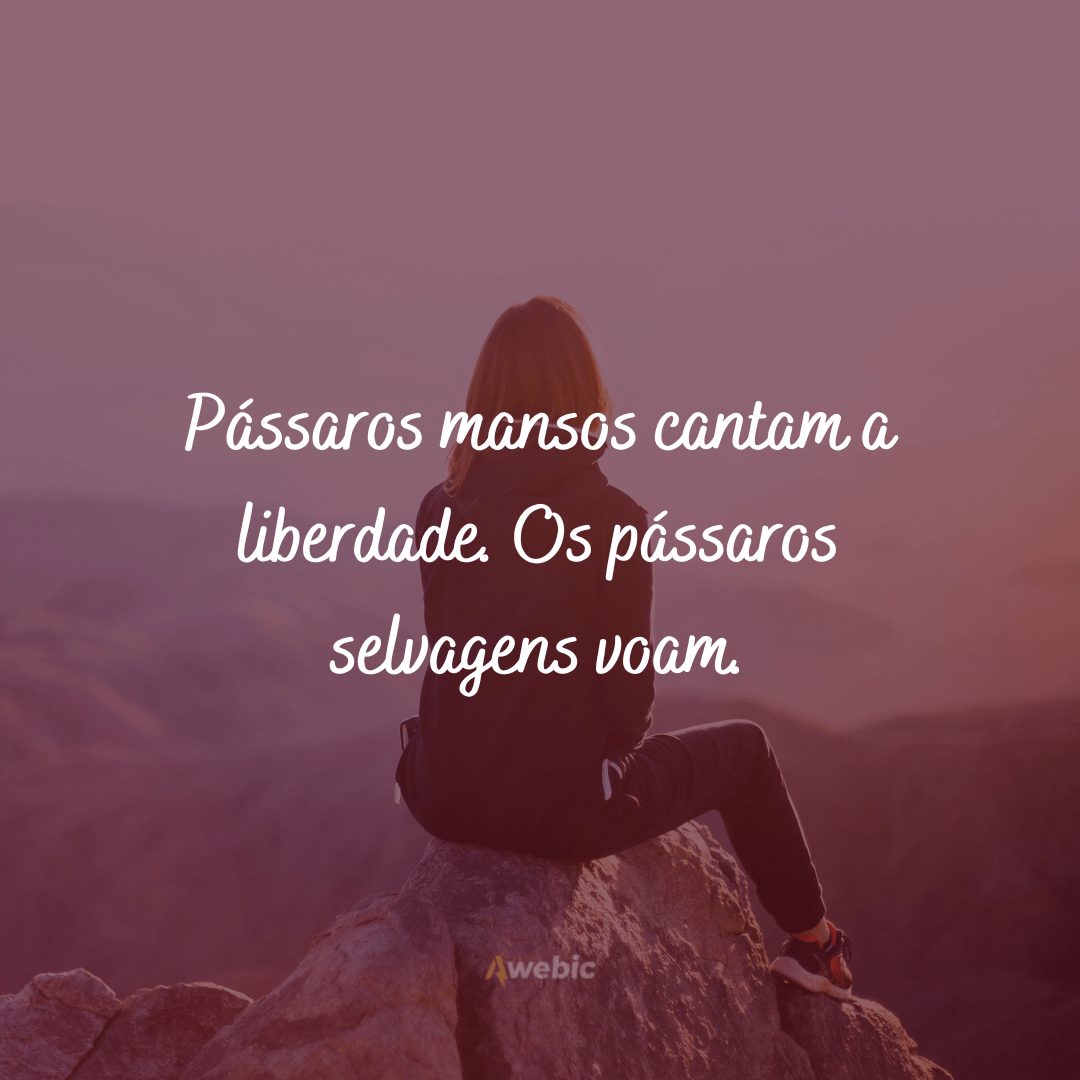 Frases de liberdade