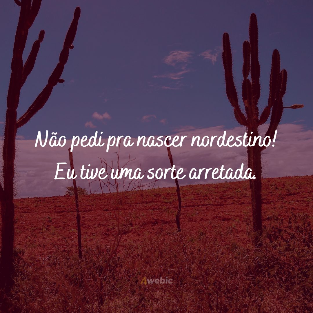 Frases do Dia do Nordestino