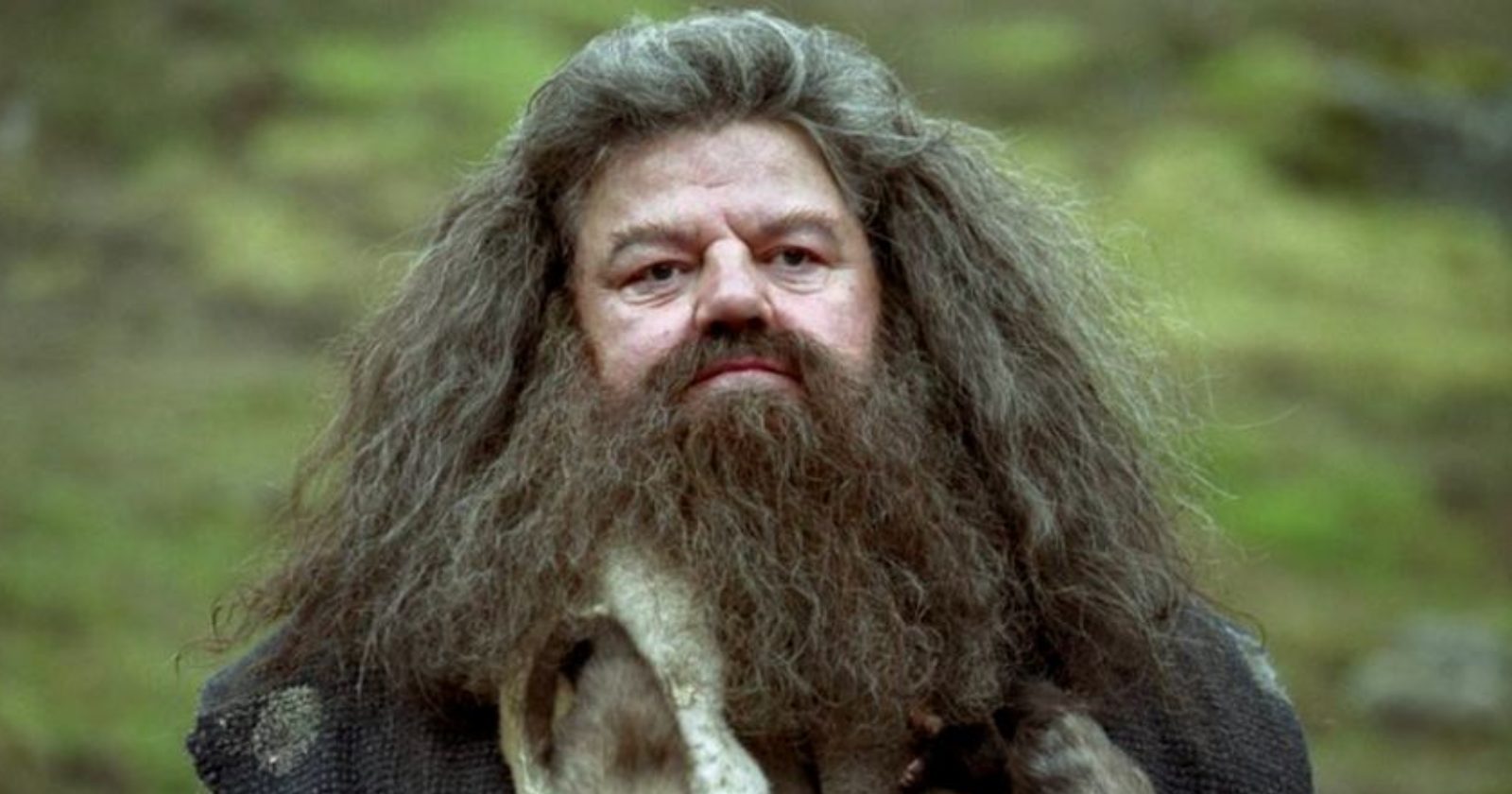 ‘Um ator incrível e um homem adorável’: fãs e colegas homenageiam Robbie Coltrane, o eterno Hagrid