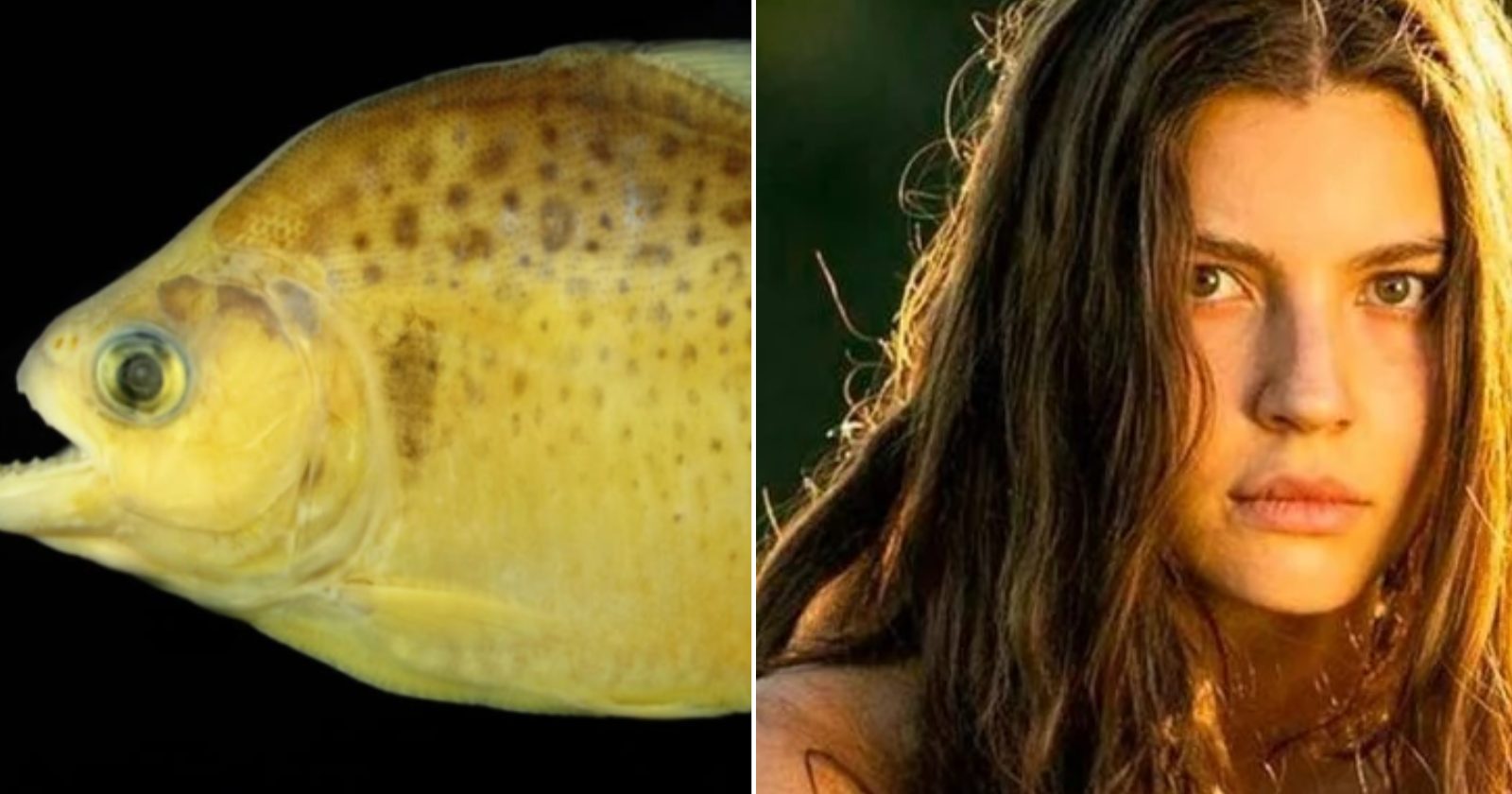 Piranha com pintas é descoberta na Amazônia e ganha o nome de “Juma” em homenagem à novela “Pantanal”