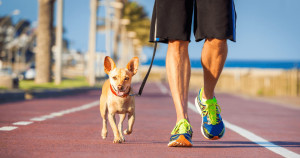 11 benefícios de passear com seu cachorro todos os dias: os dois saem ganhando MUITO