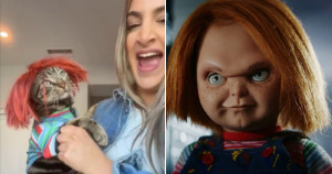 No Halloween, gato “vira” Chucky e vídeo viraliza na web; fofura ou medo?