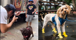 Há 10 anos fotógrafo aborda pessoas com cachorros para fotos e resultado chega a emocionar