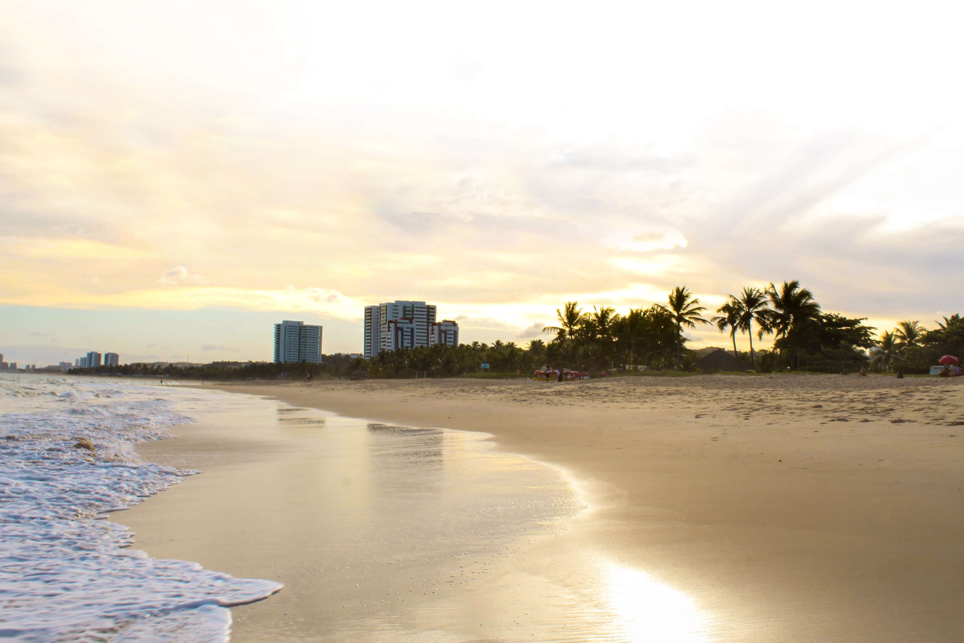 Viaje para essa praia em Alagoas e consiga ter as férias que sempre sonhou (Imagens: Unsplash)