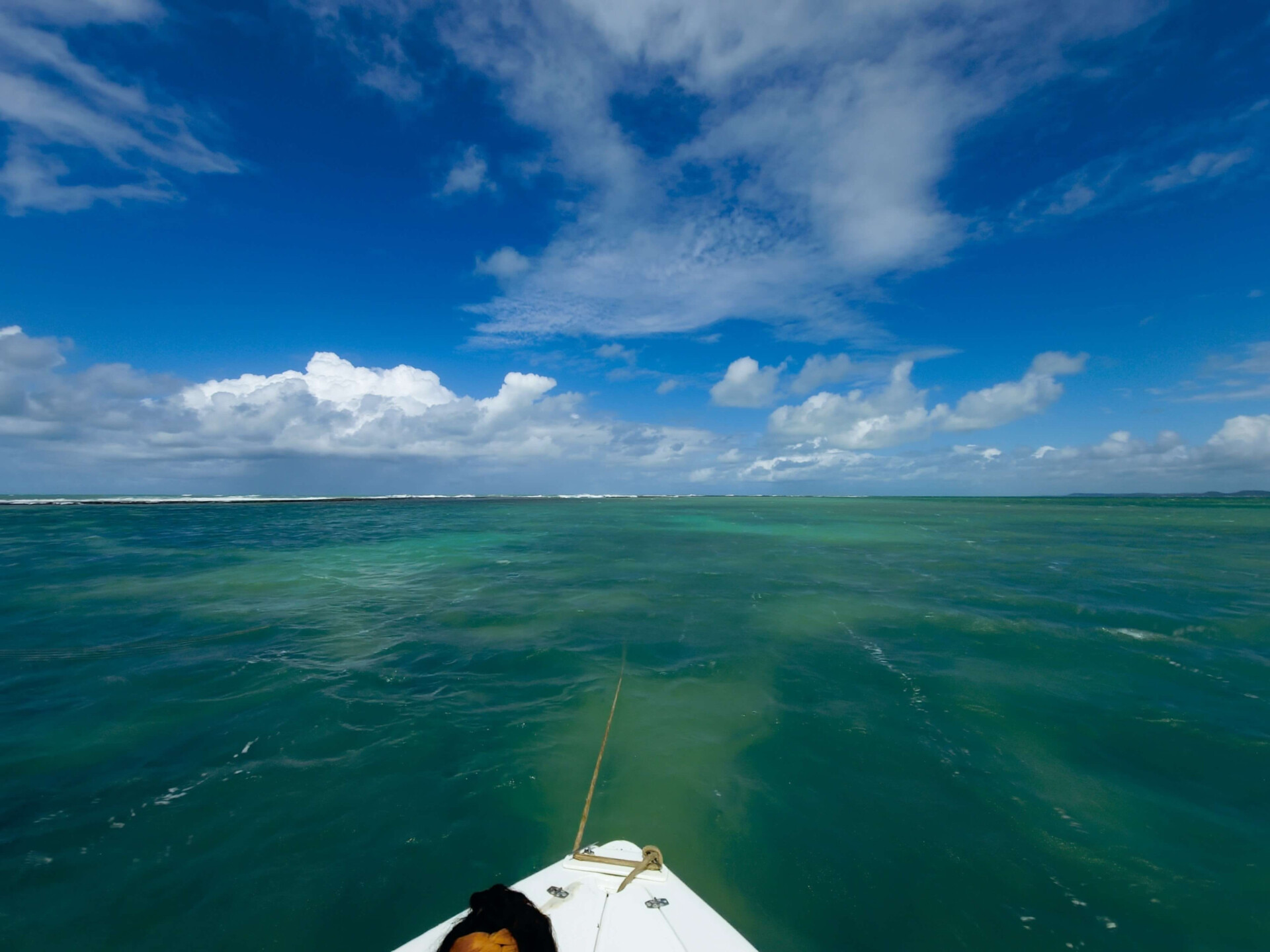 Viaje para essa praia em Alagoas e consiga ter as férias que sempre sonhou (Imagens: Unsplash)