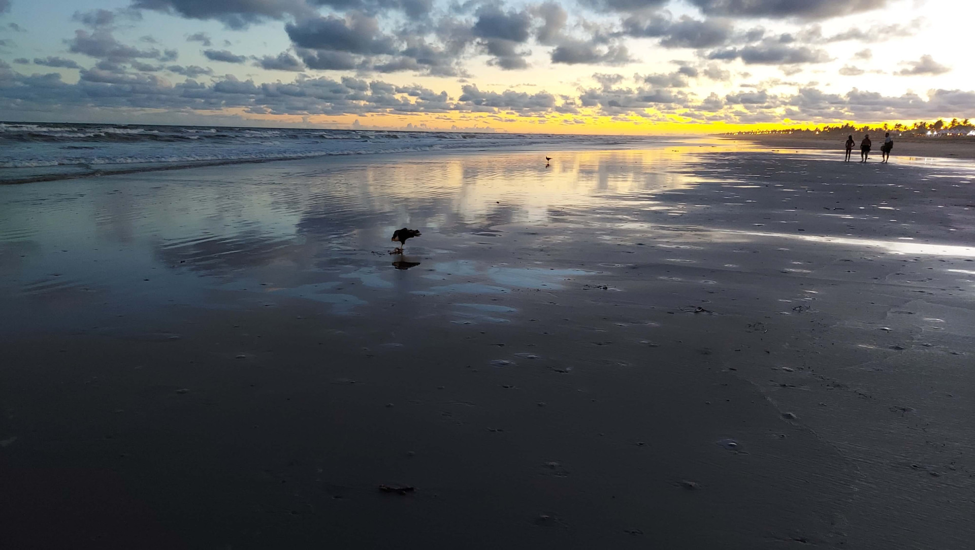 Essa praia de Aracaju é o destino da sua próxima viagem: você vai amar cada trajeto