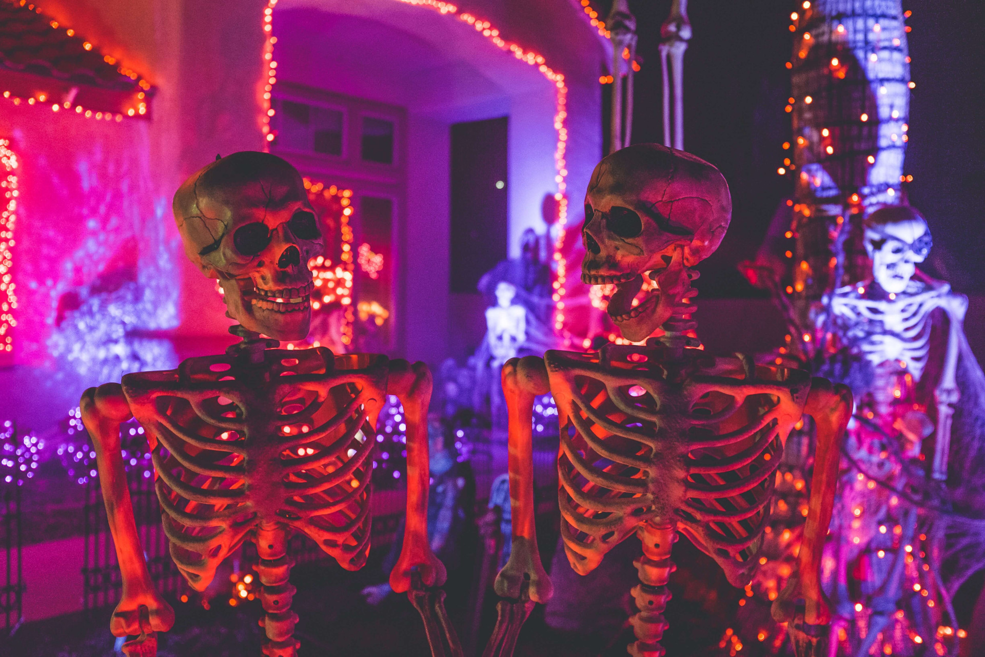 As fantasias de Halloween que mais combinam com os signos: você teria coragem de usar a sua? (Imagens: Unsplash)