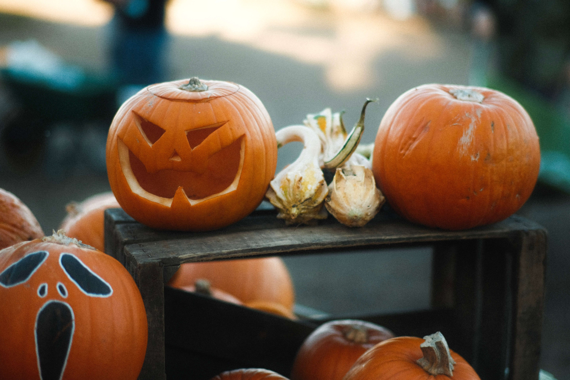 11 países que comemoram o Halloween: alguns de formas bem peculiares e interessantes (Imagens: Unsplash)