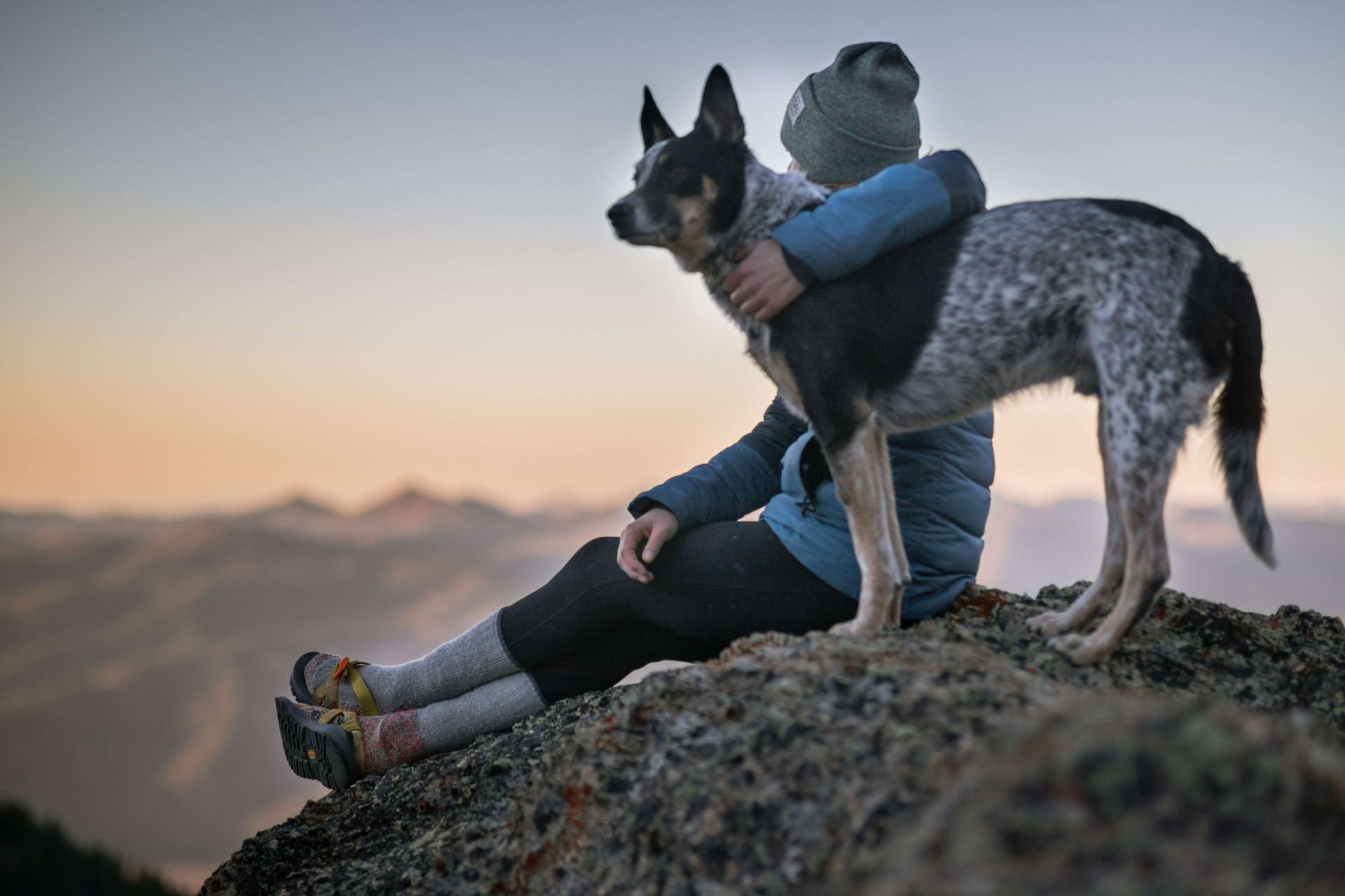 benefícios para o humano levar o cão para passear