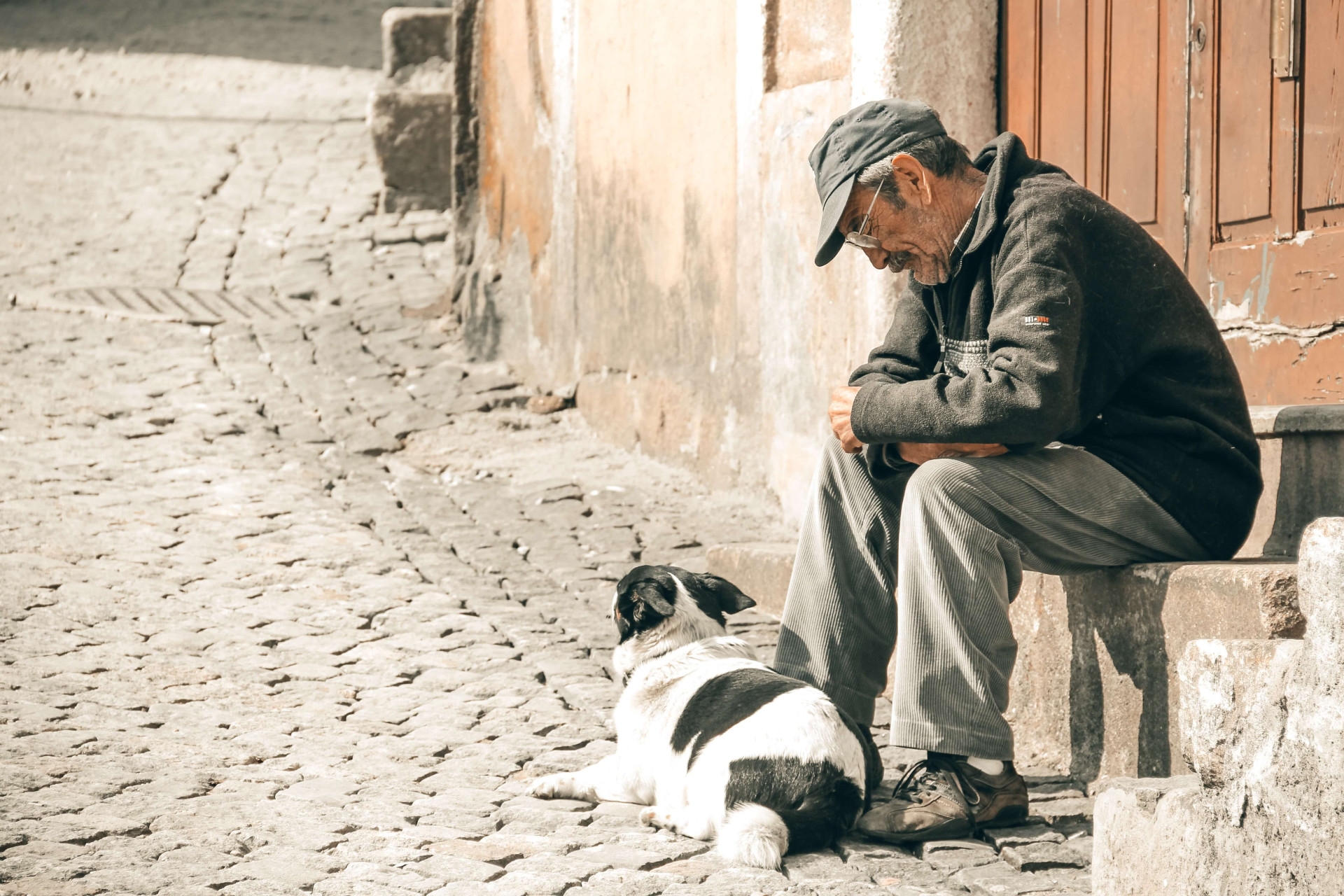 cachorros sentir cheiro de tristeza