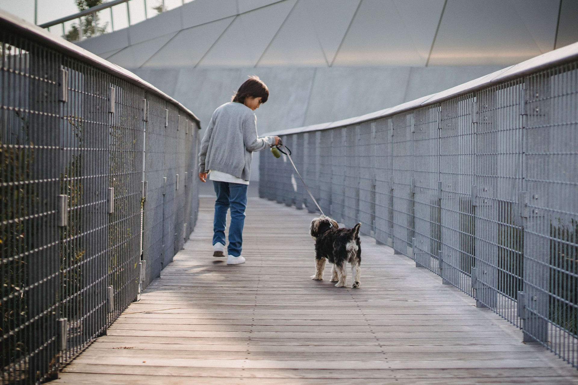 benefícios para o humano levar o cão para passear