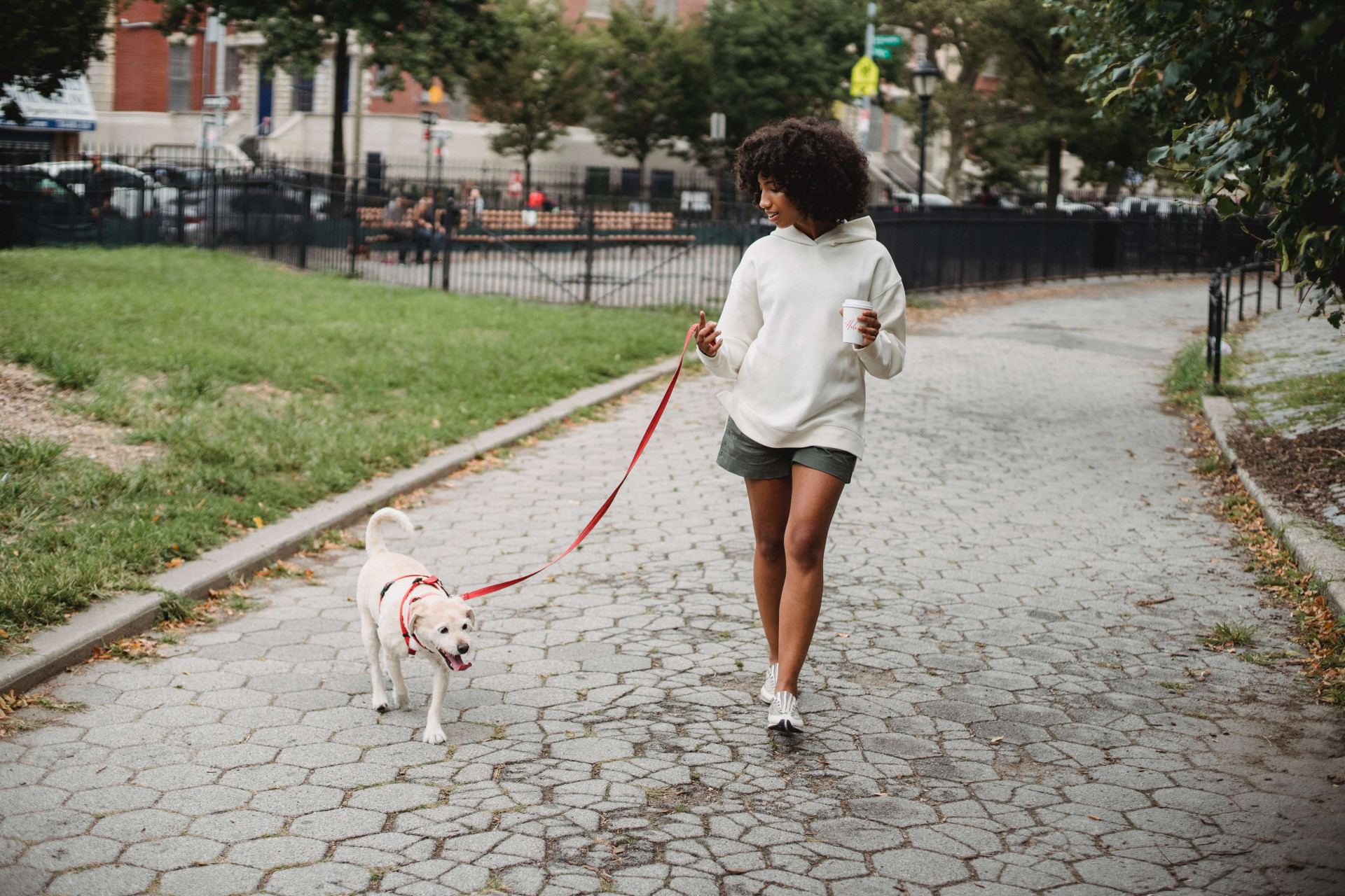 benefícios de passear com seu cachorro