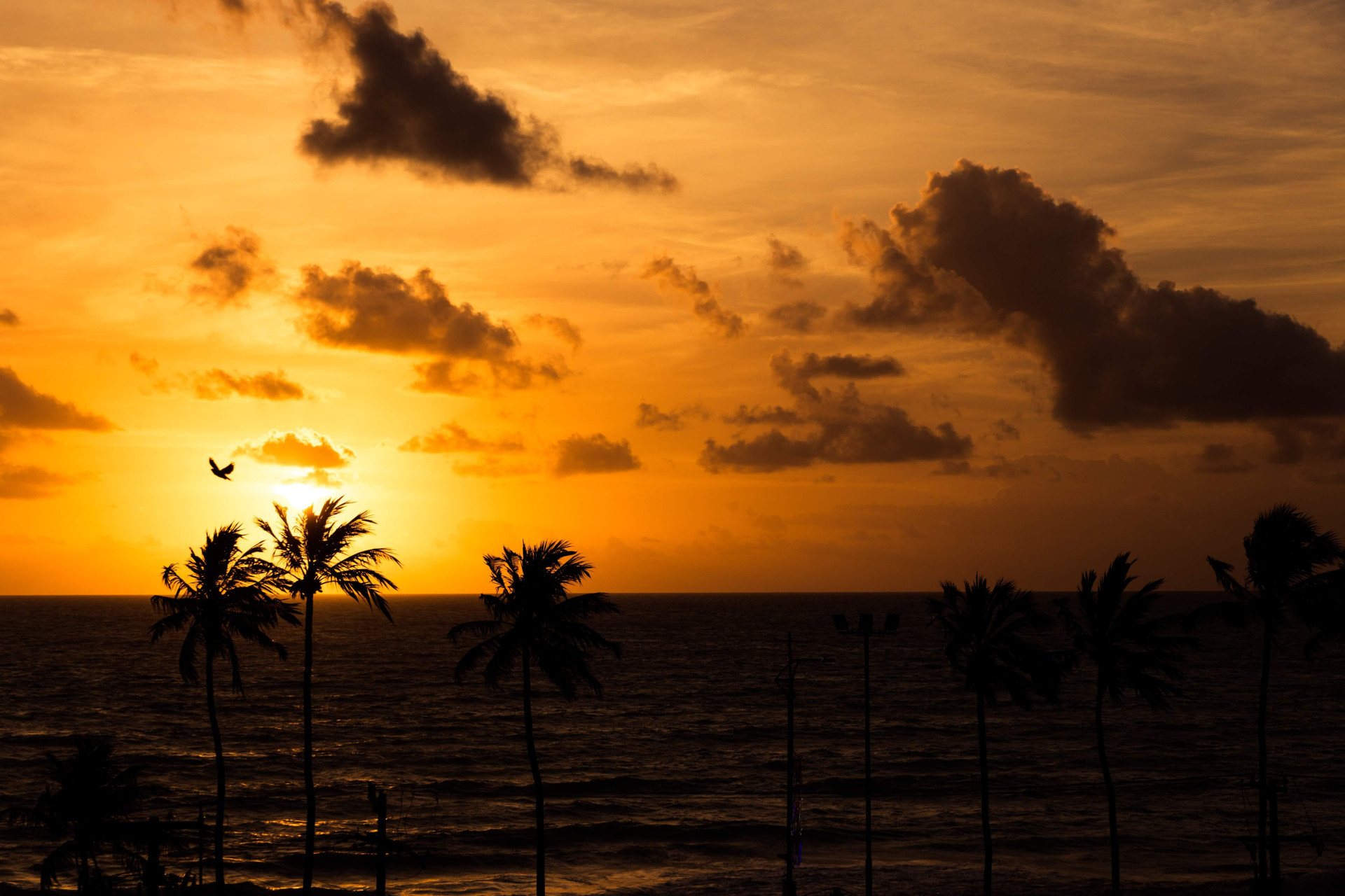 Viaje para essa praia em Alagoas e consiga ter as férias que sempre sonhou (Imagens: Unsplash)