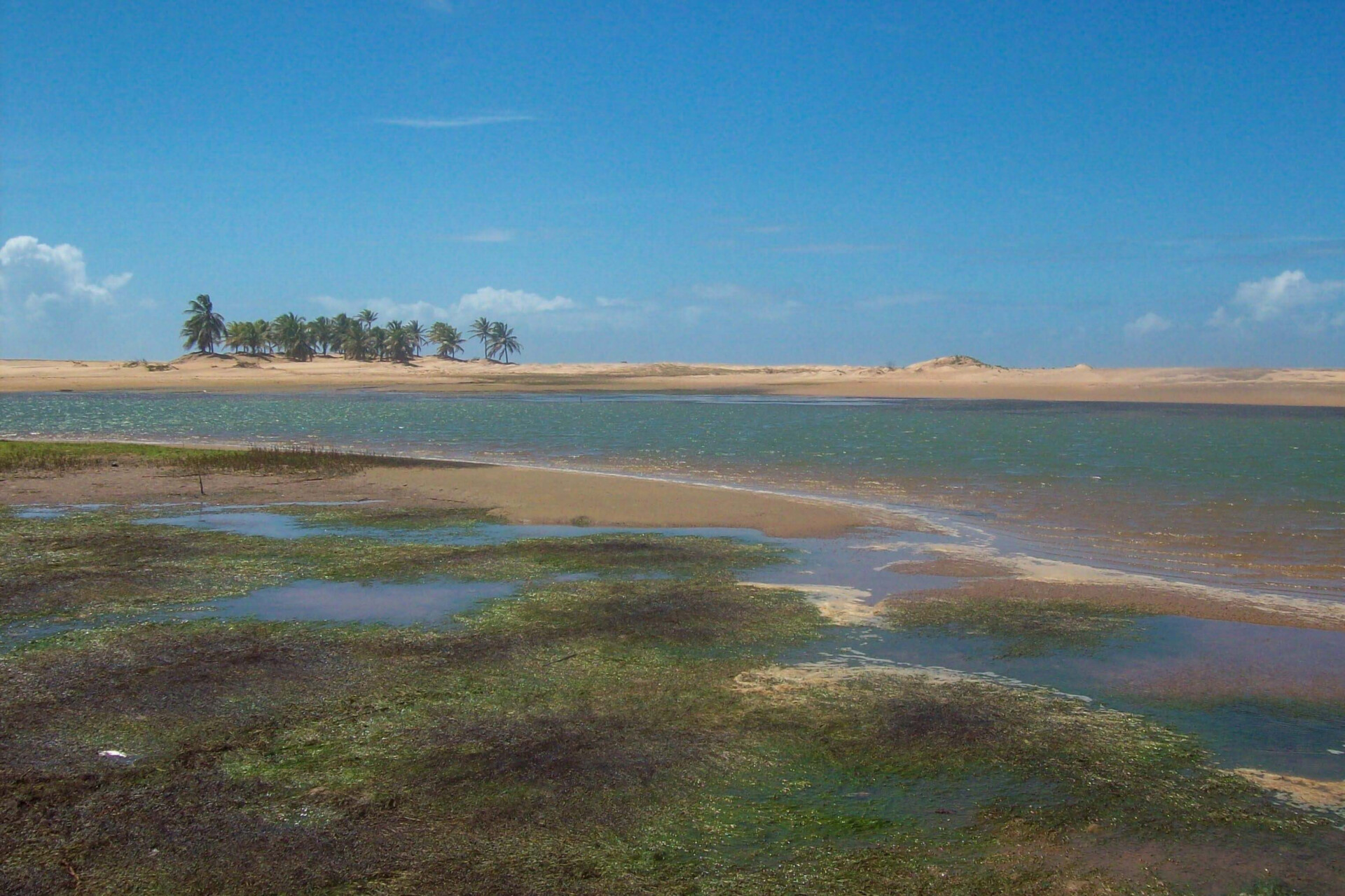 Viaje para essa praia em Alagoas e consiga ter as férias que sempre sonhou (Imagens: Unsplash)