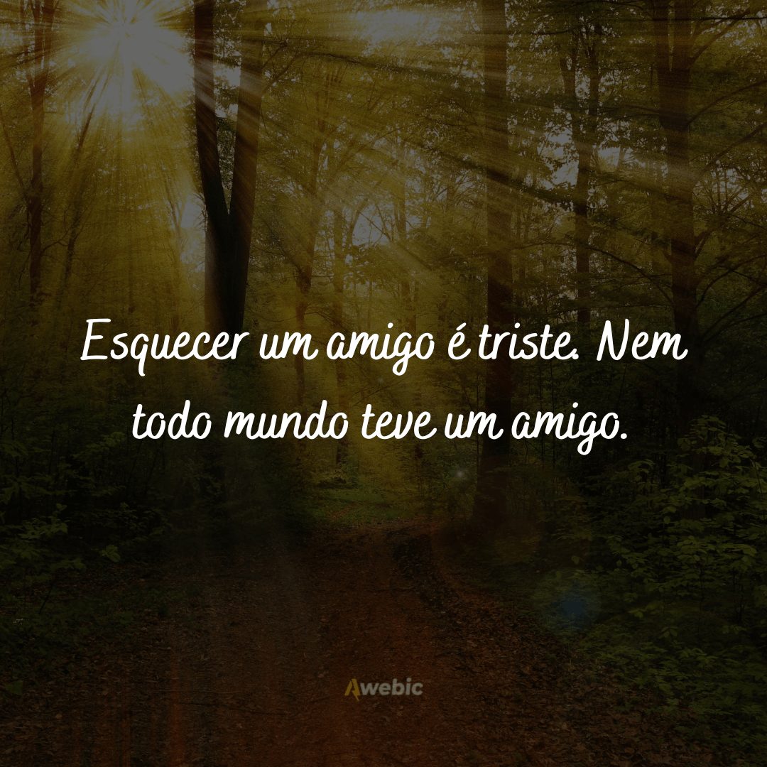 Frases do Pequeno Príncipe