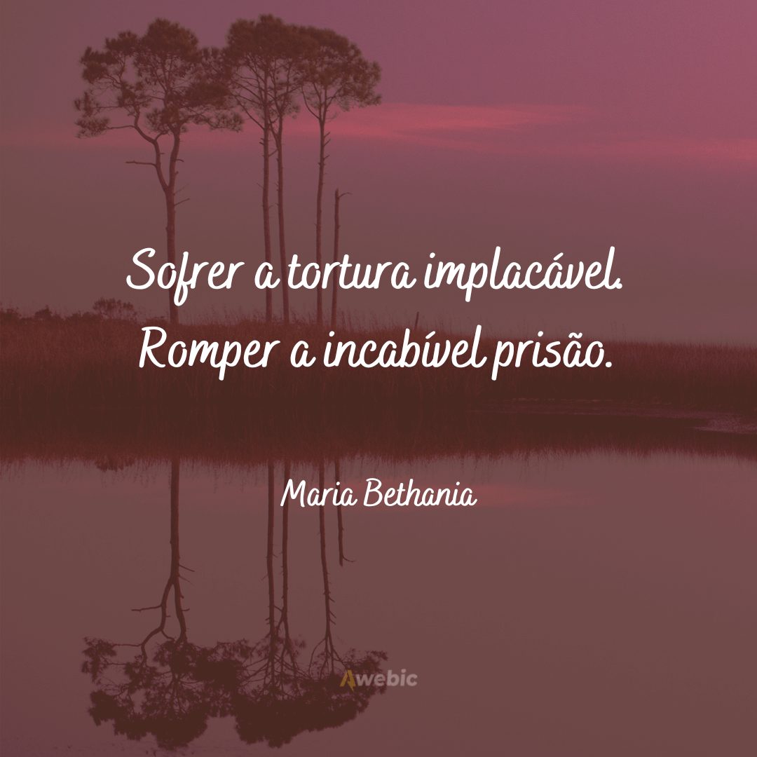 Frases de Maria Bethania