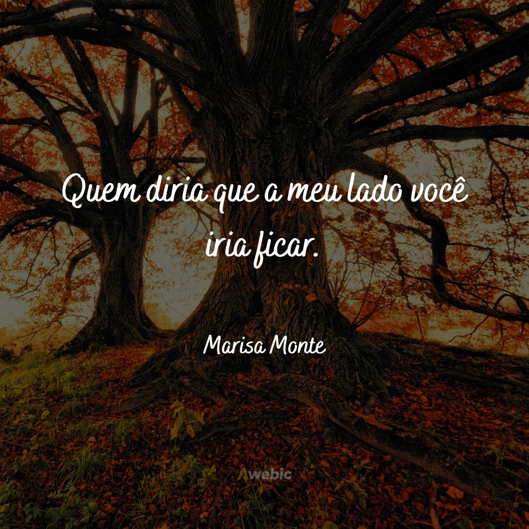 Frases da Marisa Monte