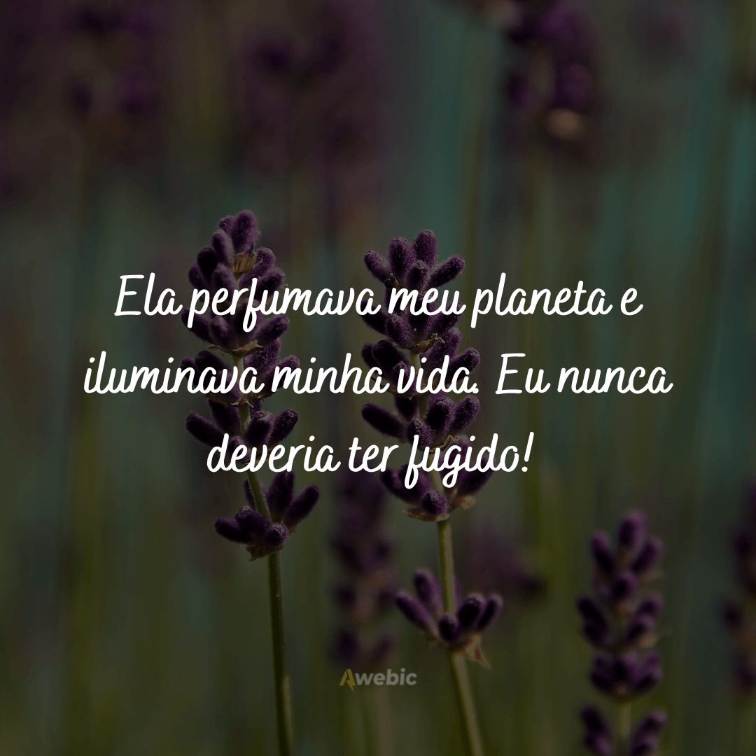 Frases do Pequeno Príncipe