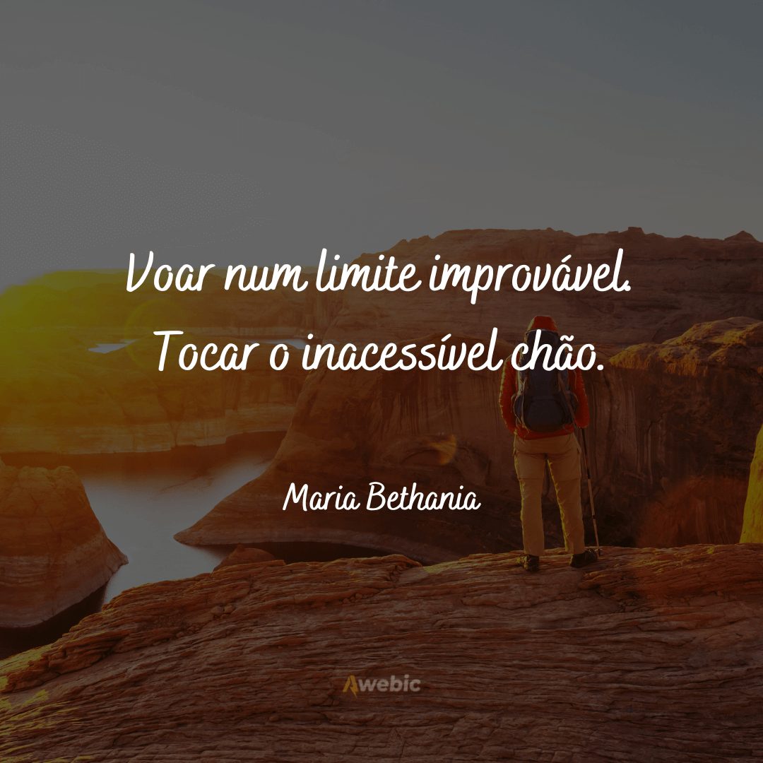 Frases de Maria Bethania