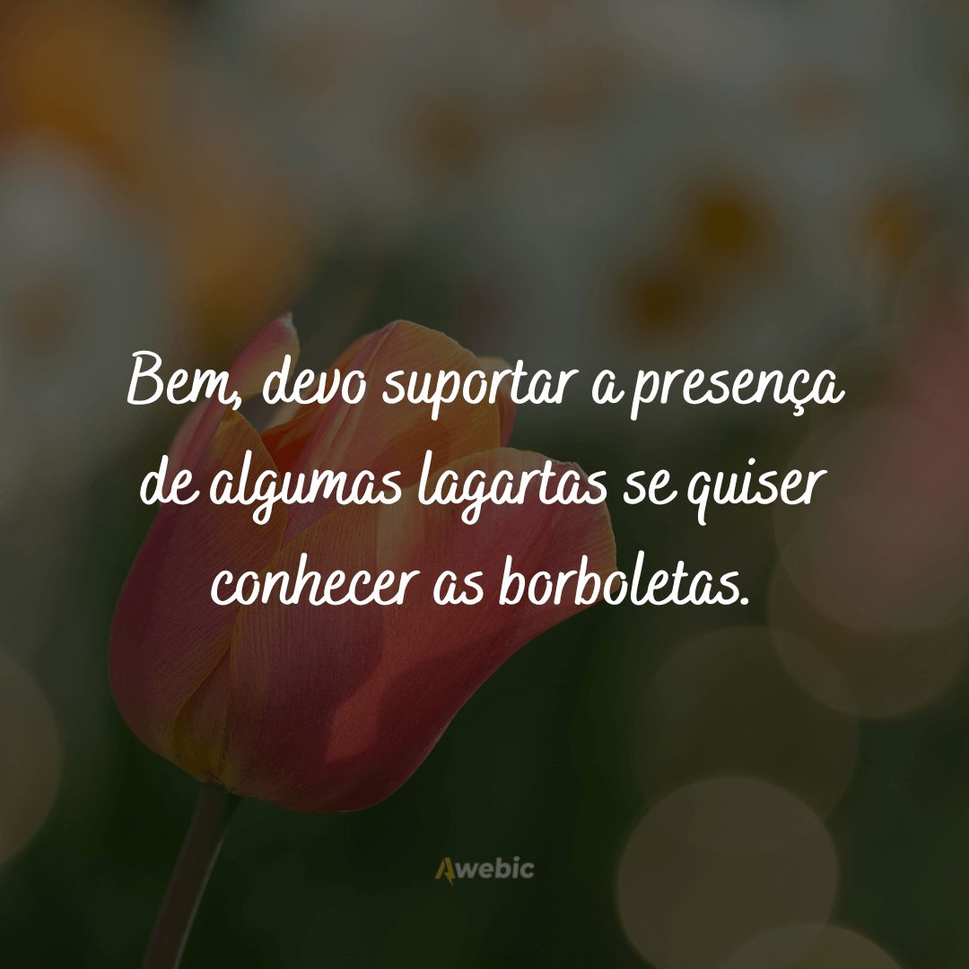 Frases do Pequeno Príncipe