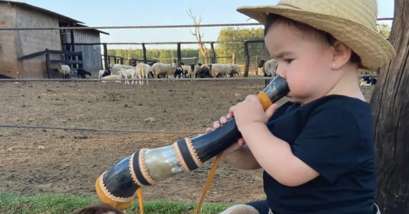 ‘Boiadeirinha’ fofa de 1 ano faz sucesso tocando berrante e brincando com animais em fazenda