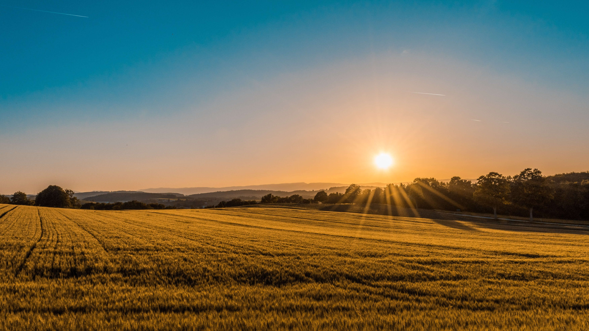 13 hotéis fazenda no Nordeste que fazem valer cada centavo gasto para suas férias perfeitas (Imagens: Unsplash)