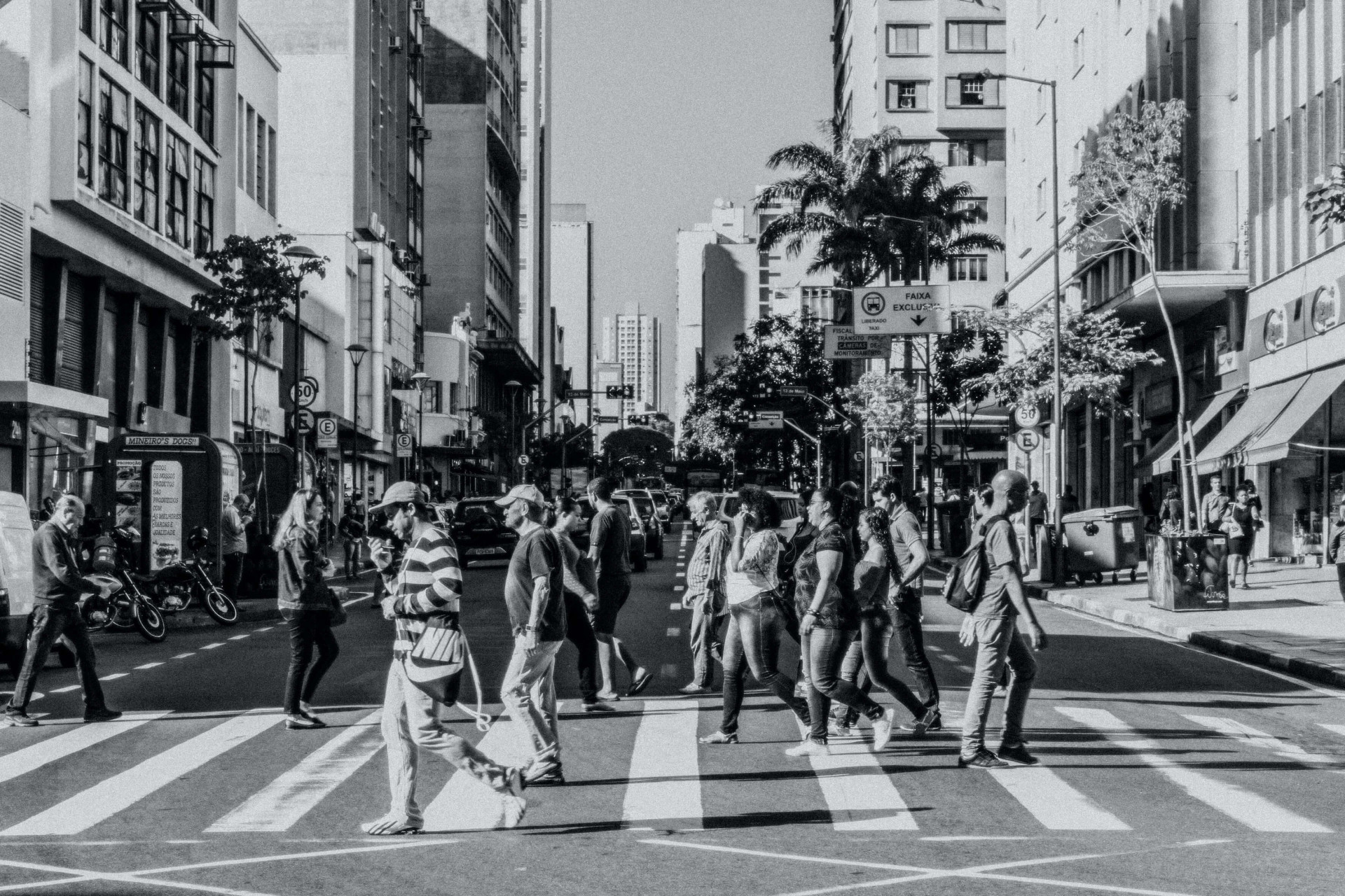 12 bairros maravilhosos para morar em Campinas e não pensar mais em se mudar (Imagens: Unsplash)