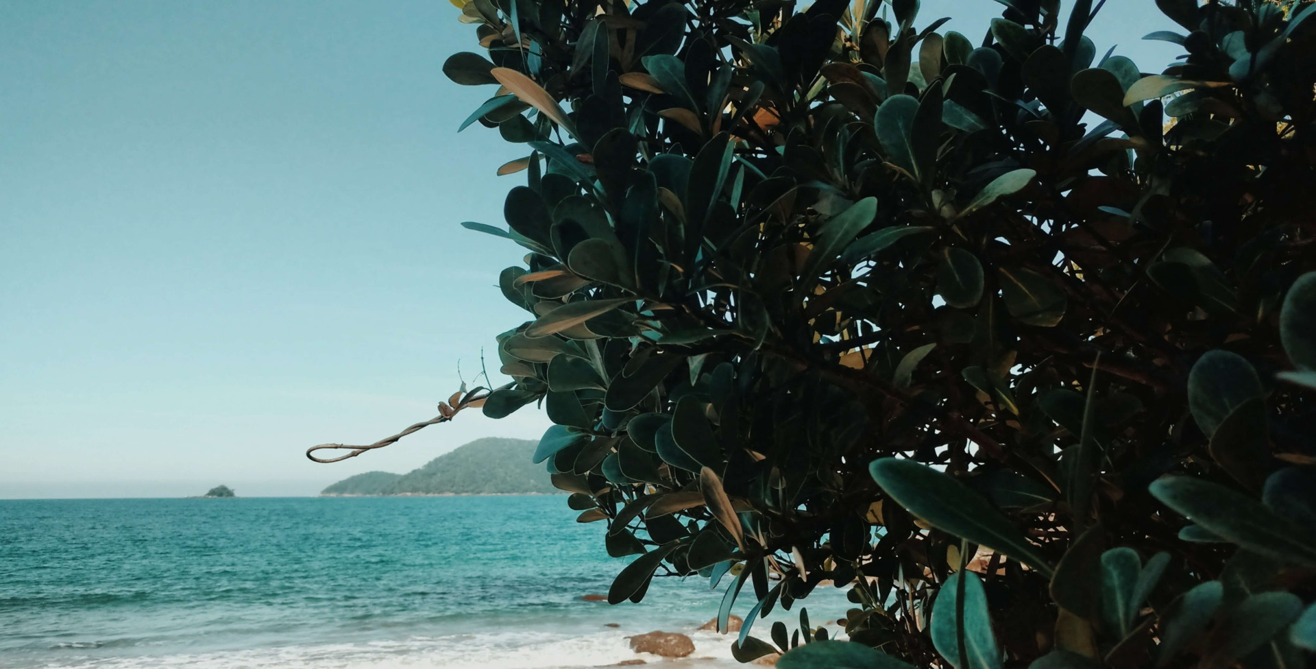 Praia da Sununga: um paraíso brasileiro que todo mundo precisa conhecer ao menos uma vez na vida (Imagens: Unsplash)