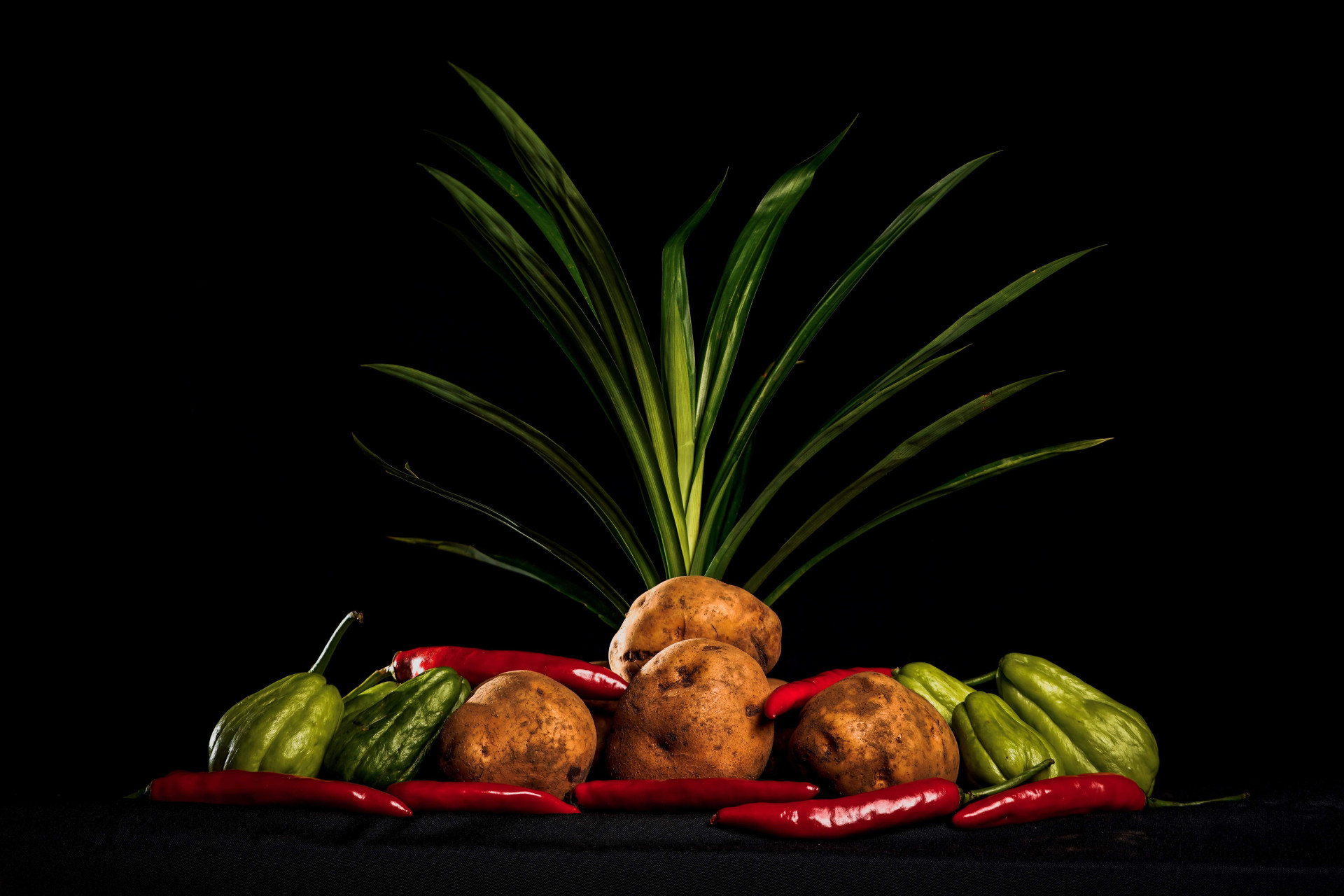 alimentos comuns para hidratar o corpo