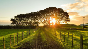 13 hotéis fazenda no Nordeste que fazem valer cada centavo gasto para suas férias perfeitas