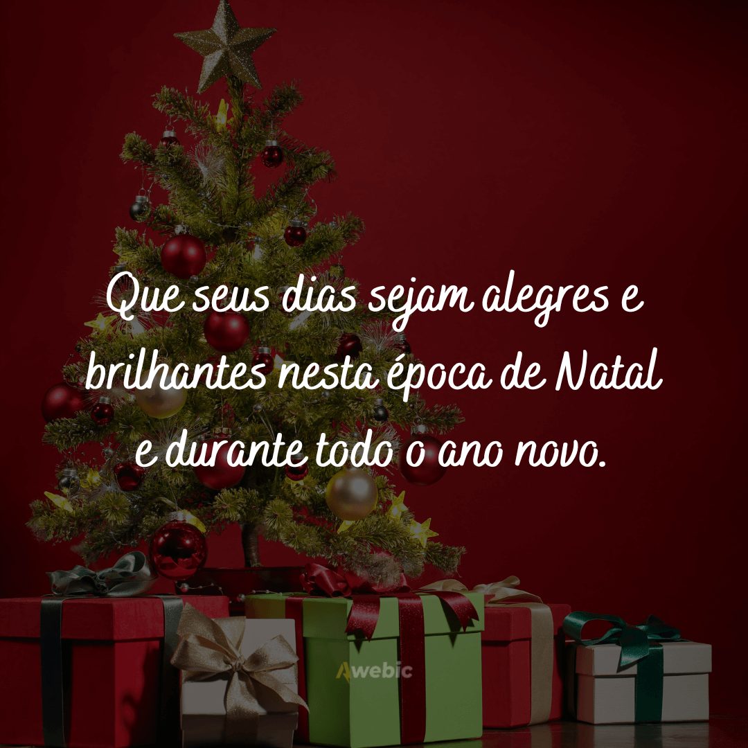 Que seus dias sejam alegres e brilhantes nesta época de Natal e durante todo o ano novo.