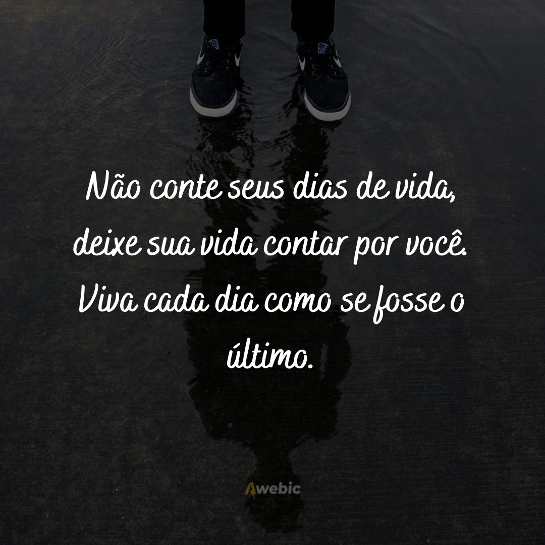 Frases para o primeiro dia do ano