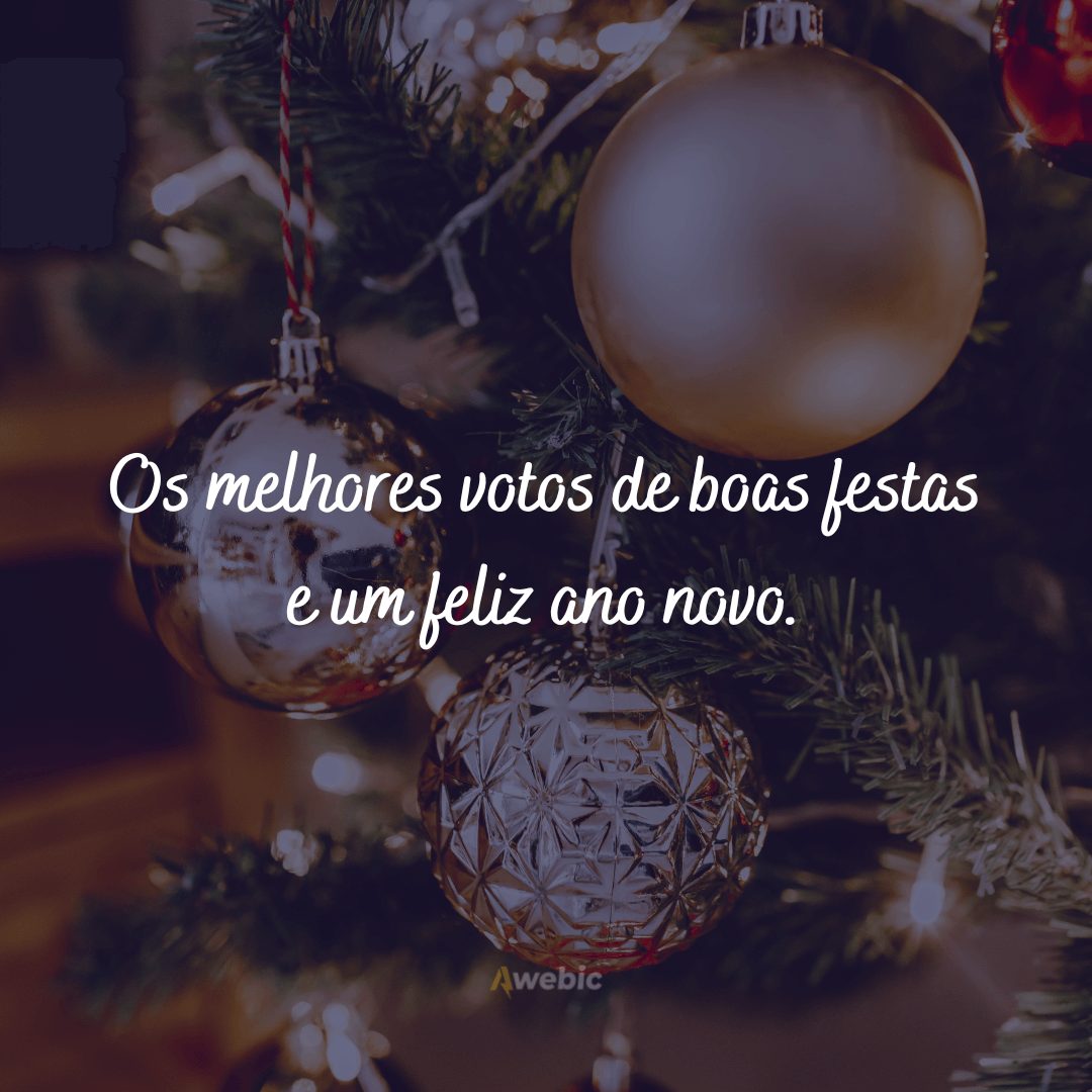 Que seus dias sejam alegres e brilhantes nesta época de Natal e durante todo o ano novo.