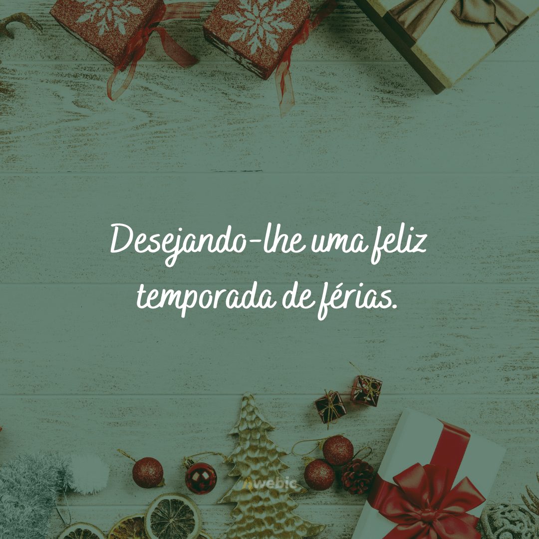 Que seus dias sejam alegres e brilhantes nesta época de Natal e durante todo o ano novo.